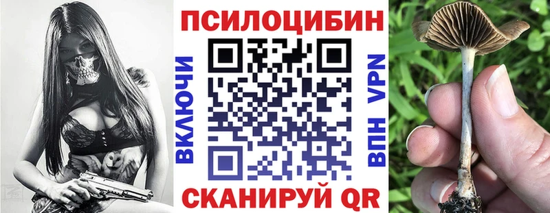 купить наркотики цена  Электроугли  Псилоцибиновые грибы Psilocybine cubensis 